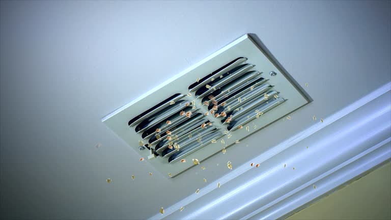 Best Ductwork Cleaning Services  in Williamston, SC